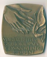 1978. "MABÉOSZ-Motívumfila" szögletes Br plakett T:2