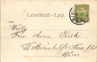 1905 Budapest I. Corvin tér, Budai Wittreich J. Vigadó Vendéglő és kávéház, drogéria (gyógyszertár),...