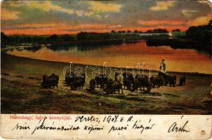 1904 Hortobágy, folyó kannyájjal, magyar folklór (lyuk / pinhole)