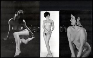 cca 1978 Akt tanulmányok, szolidan erotikus felvételek, 3 db vintage fotó, ezüst zselatinos fotópapíron, 17,5x11,8 cm és 14x5,8 cm között