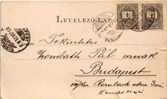 1899 (Vorläufer) Hatvan, Katolikus templom, Honvéd szobor, Iskola, Városháza, piac, Takarékpénztár é...