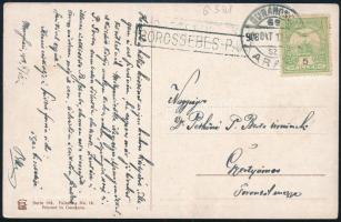 1908 Képeslap BOROSSEBES pályaudvari bélyegzéssel / Postcard with postal agency postmark