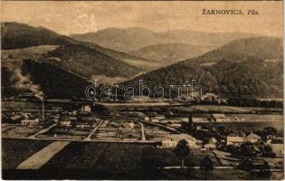 1926 Zsarnóca, Zarnovica; Pila / fűrésztelep / sawmill (felszíni sérülés / surface damage)