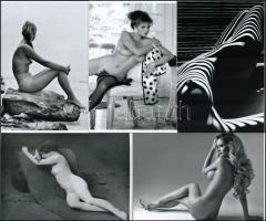 Az örök Nők, szolidan erotikus felvételek különféle időpontokból és forrásokból, 5 db mai nagyítás, 10x15 cm