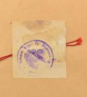 1920 Magyar Királyság fényképes útlevele, lelkész részére, áthúzott "Népköztársaság" megne...