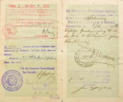 1916-1917 Magyar Királyság fényképes útlevele, lelkész részére, osztrák-magyar és svájci bejegyzések...