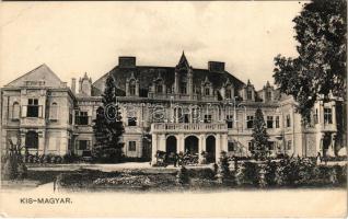 1913 Kismagyar, Maly Mager (Illésháza, Novy Zivot); Pálffy Béla gróf kastélya. Hardtmuth E. kiadása / castle (EK)