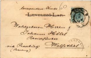 1901 Komárom, Komárnó; hajógyár. Czike Dénes kiadása / shipyard, factory