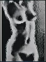 cca 1975 Impresszió, Marinkay István (1920-?) veszprémi fotóművész gyűjteményéből 1 db mai nagyítás, 24x17,7 cm