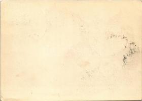 1938 Deutschsprachiges Gebiete. Sudetenland Franzensbad Freikorps / NSDAP German Nazi propaganda + S...