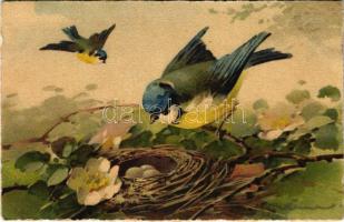 Birds. Meissner & Buch Künstler-Postkarten Serie 2749. s: C. Klein