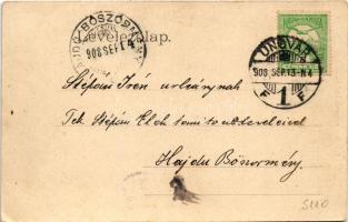 1908 Ungvár, Uzshorod, Uzhorod; Görög katolikus papárva leánynevelő és tanintézet. Feuerlicht testvé...