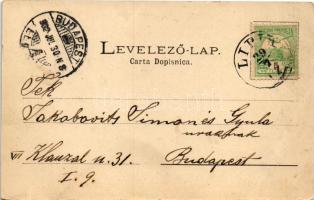 1902 Lipik, Trinkquelle / Ivócsarnok / drinking hall (EB)