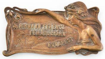 Hirmann Ferencz Fémárugyára Budapest feliratú szecessziós fém tábla, 20×11 cm / Art Nouveau decorative metal sign