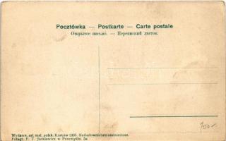 Przemysl, Palac Ks. Lubomirskiego (Bakonczyce) / Lubomirski Palast in Premissel, castle. Fotorgr. E....