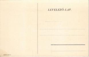 Szárnyra ifjúság! Cserkészek vitorlázó repülőgéppel. Kanitz és fiai / Hungarian scout boys with glid...