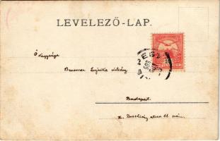 1903 Budapest XIX. Kispest, magyar honvéd katonatiszt kitüntetéssel csákóban / Hungarian military of...