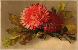 1910 Flowers. Meissner & Buch Künstler-Postkarten Serie 1631. Astern litho s: C. Klein (lyuk / hole)