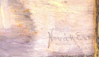 Novák Erzsébet (1893-?): Téli táj. Olaj, vászon, kartonon, jelzett. Dekoratív, sérült fakeretben, 40...