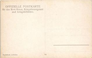 Vereinigung der verbündeten Armeen nächst der histor. Dreikaiserecke (15. September 1914) / WWI Aust...