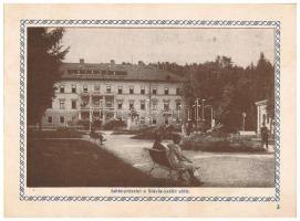 Bártfa, Bártfafürdő, Bardejovské Kúpele, Bardiov, Bardejov; füzet 8 lappal / booklet with 8 pages