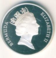 Bermuda 1986. 1$ Ag "WWF-Teknős" T:PP