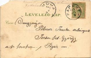 1905 Facset, Facsád, Faget; templom, Fő tér és utca, Korona szálloda / church, main square and stree...