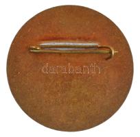 ~1980-1990. "Magyar Madártani Egyesület Solymász Szakosztály" zománcozott bronz jelvény (3...