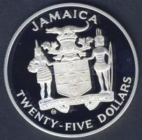 Jamaica 1990. 25$ Ag "Labdarúgó VB" T:PP