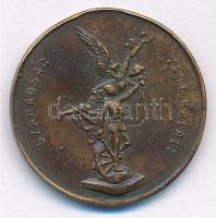 1893. Május 21. "1849. Május 21. Szabad Hazáért - A Névtelen Hősök Győzelmének Emléke" bro...