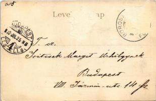 1902 Borosznófürdő, Brusno-kúpele (Borosznó, Brusznó, Brusno); A fürdő látképe. Kiadja Lechnitzky O....