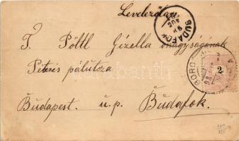 1898 (Vorläufer) Borosznófürdő, Brusno-kúpele (Borosznó, Brusznó, Brusno); Lajos lak, nyaraló / vill...