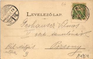 1902 Thurzófüred, Kupele Turzo (Gölnicbánya, Gelnica); Budapest villa. Wlaszlovits G. kiadása / vill...