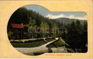 1916 Thurzófüred, Kupele Turzo (Gölnicbánya, Gelnica); Bányász nyaraló. Feitzinger Ede No. 734d. / villa (EK)