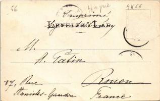 1905 Bártfa, Bártfafürdő, Bardejovské Kúpele, Bardiov, Bardejov; Park részlet, forrás. Divald Adolf ...