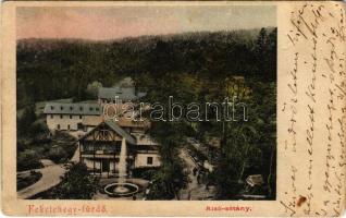 1903 Feketehegy-fürdő, Feketehegy, Cernohorské kúpele (Merény, Vondrisel, Nálepkovo); Alsó sétány / spa, promenade (EB)