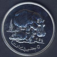 Szudán 1976. 5Ł Ag "Természetvédelem-víziló" T:BU Csak 5087db!