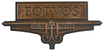DN "Eötvös" bronz iskolajelvény(?) (50x23mm) T:1-