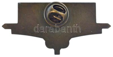 DN "Eötvös" bronz iskolajelvény(?) (50x23mm) T:1-