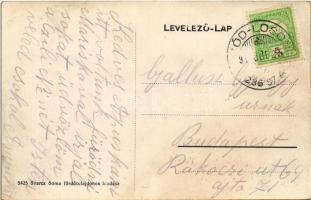 1911 Rárósmúlyad, Ráros-Mulyad, Rárosská Mulad, Mula; Fürdő és kút. Svarcz Soma fürdőtulajdonos kiad...