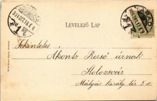 1905 Arad, Andrássy tér, Schäffer Henrik, Róth testvérek, Andrényi Károly és fiai üzlete, városi vas...