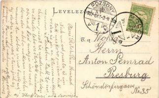 1907 Modor, Modra; Kádfürdő, régi városkapu, Solomon és Engel üzlete / spa, old castle gate, shop