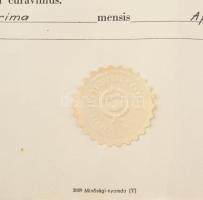 1958 Orvosi diploma Naszlady Attila részére, Gegesi Kiss Pál, Babics Antal aláírásával