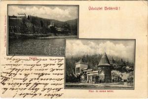 1914 Betlér, Betliar (Rozsnyó, Roznava); Halastó, hiúz és medve ketrecek. Sajó Vidéke kiadása / lake, lynx and bear cages (EK)