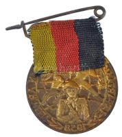 NDK 1958. "A baráti hadseregek I. spartakiádja" zománcozott fém jelvény használt állapotú ...