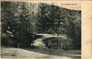 1911 Ceméte, Czeméthe, Czeméte-fürdő, Cemjata (Eperjes, Presov); Park részlet. Felvétel és fénynyomat Divald K. fia műintézetéből / spa, park (EK)