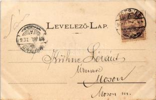 1901 Ceméte, Czeméthe, Czeméte-fürdő, Cemjata (Eperjes, Presov); Sanatorium villa, Kassa villa / vil...