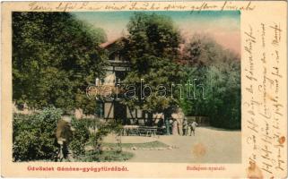 1906 Gánóc, Gansdorf, Gánóc-gyógyfürdő, Kúpele Gánovce, Gánovce; Budapest nyaraló / villa (fl)