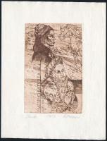 Kőhegyi Gyula (1933- ): Dante, ex libris Massimo Battolla, 2002. Rézmetszet, rézkarc, papír, jelzett, 12x7,5 cm