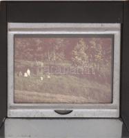 cca 1920-1940 A pilisi báró nyáregyházi Nyáry-család fotó dia hagyatéka, 4 dobozban, nagyrészt színe...